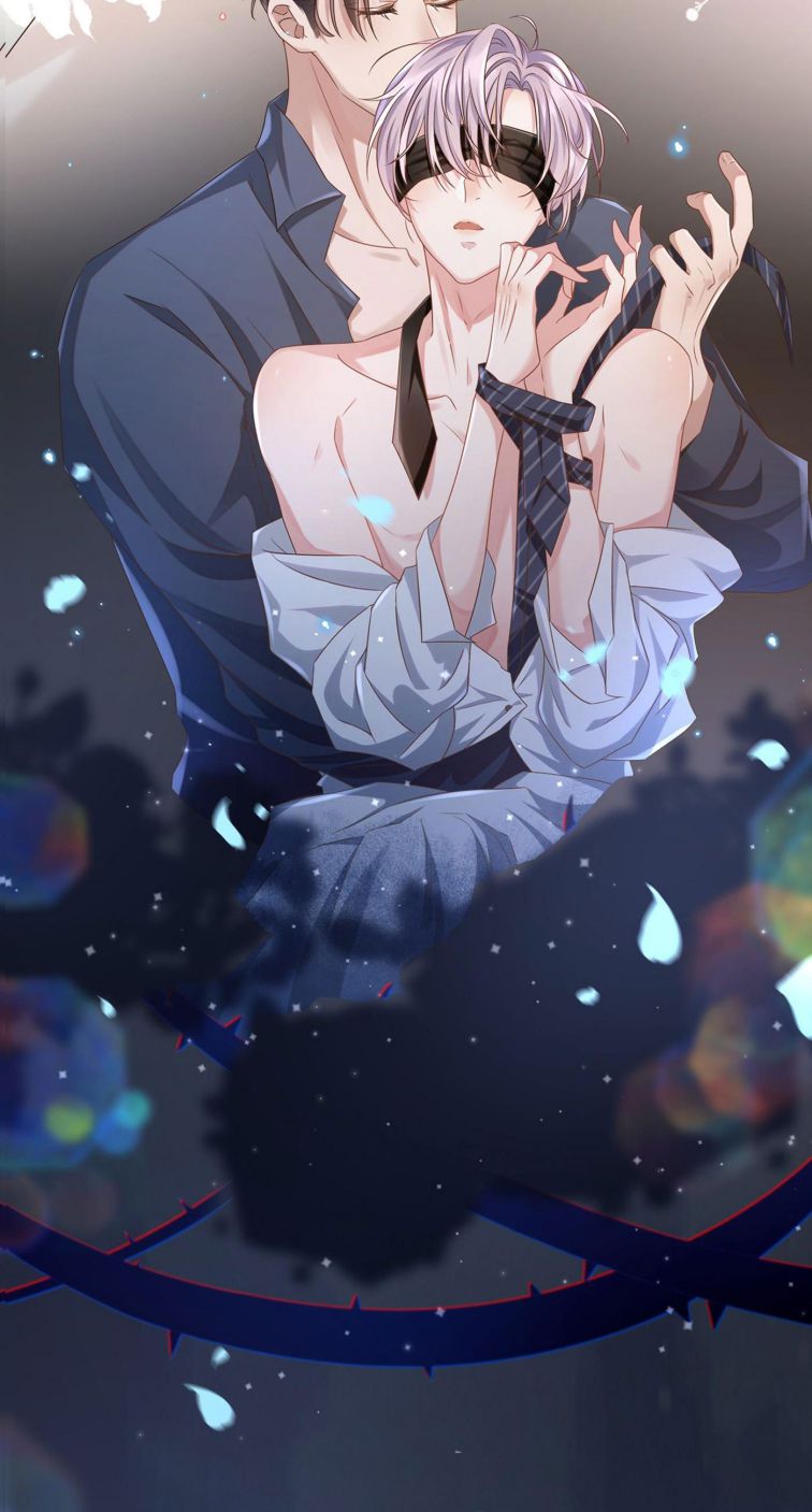 Quan Hệ Thế Thân Văn Án 2 - Next Chapter 1