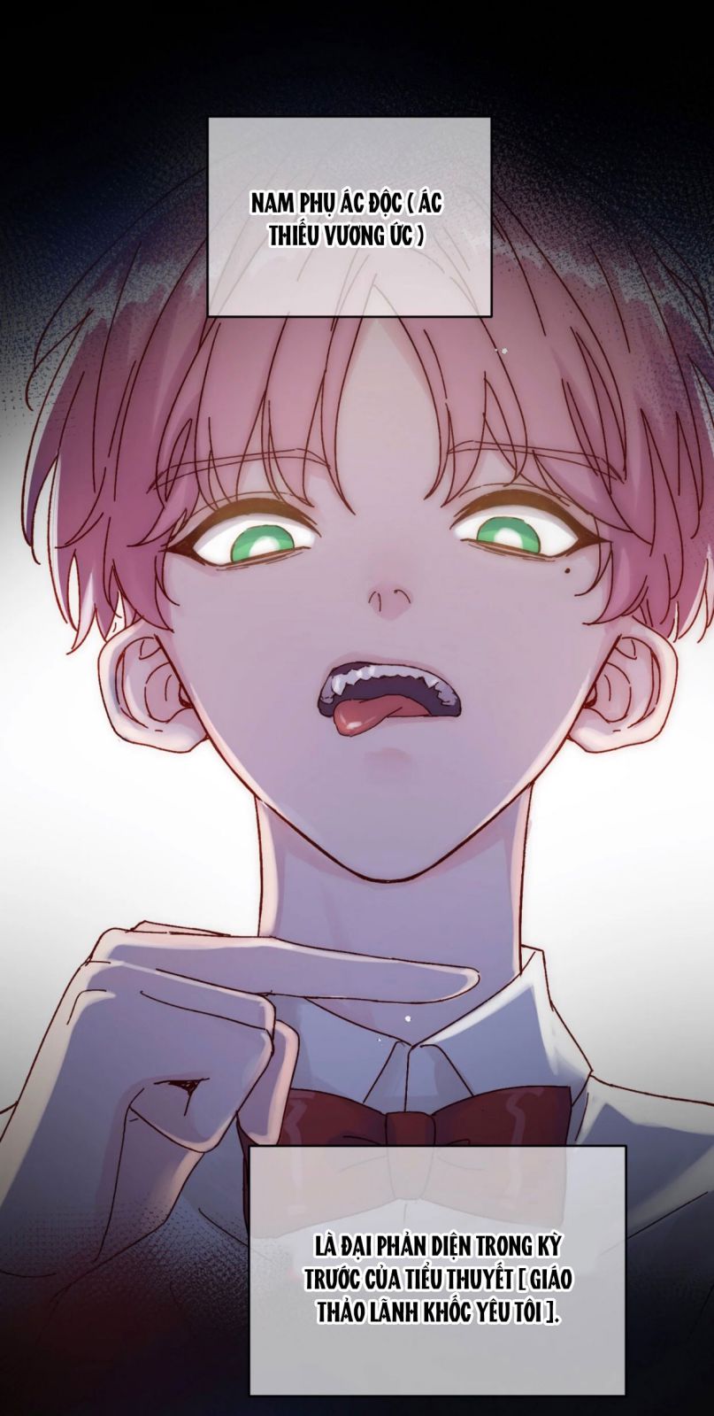 Tôi Phải Làm 1 Kẻ Đại Xấu Xa Chap 28 - Trang 3