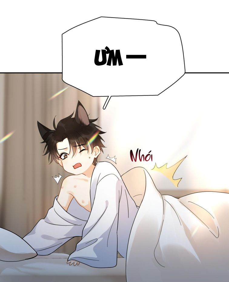 Theo Đuôi Chapter 11 - Trang 4