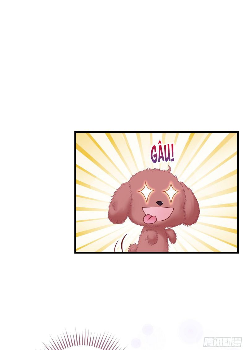 Tôi Nghi Ngờ Hệ Thống Thích Tôi Chap 19 - Trang 2