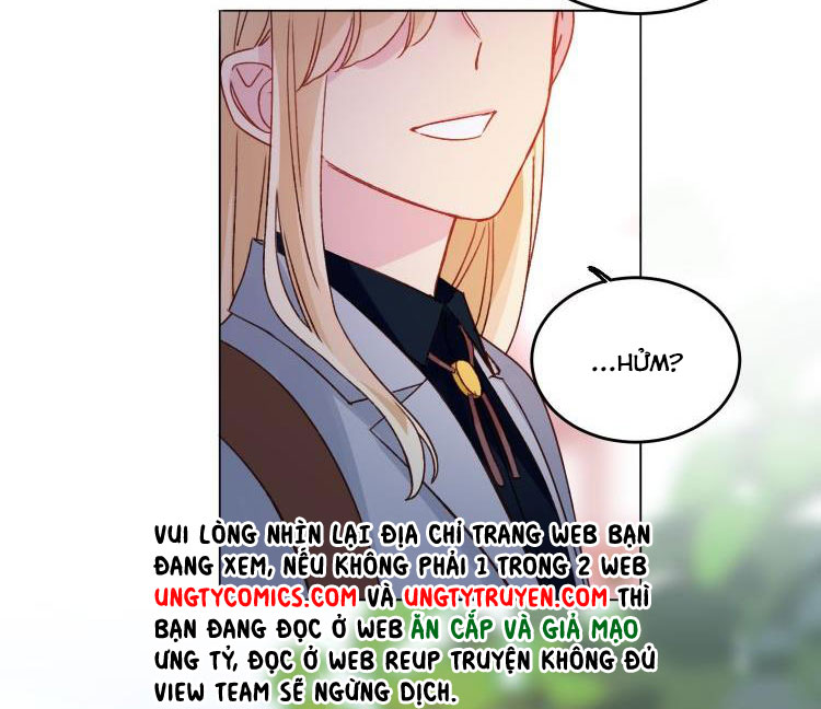 Tôi Phải Làm 1 Kẻ Đại Xấu Xa Chap 33 - Trang 3