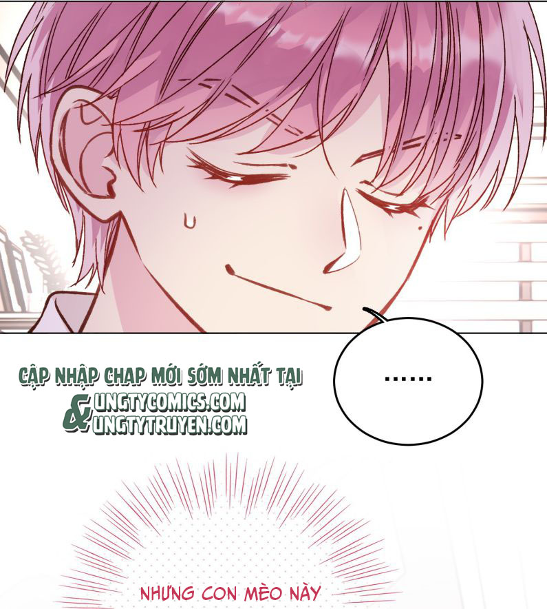 Tôi Phải Làm 1 Kẻ Đại Xấu Xa Chap 33 - Trang 3