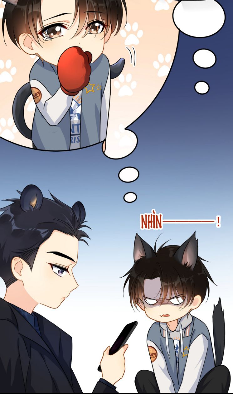 Theo Đuôi Chapter 27 - Trang 4