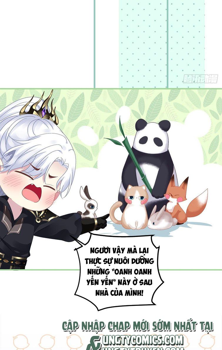 Hắc Hóa Đại Lão Thuần Dưỡng Chỉ Nam Chapter 21 - Trang 4