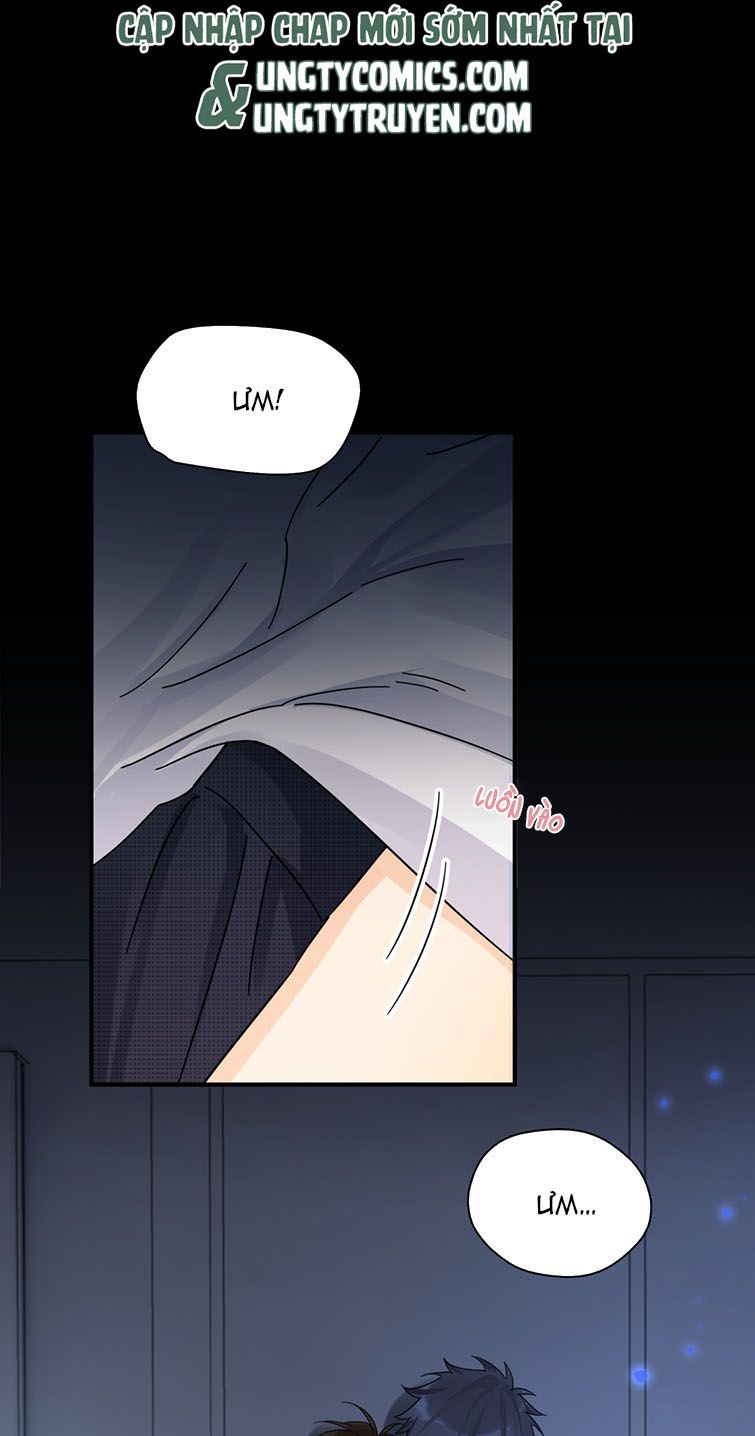 Theo Đuôi Chapter 33 - Trang 4