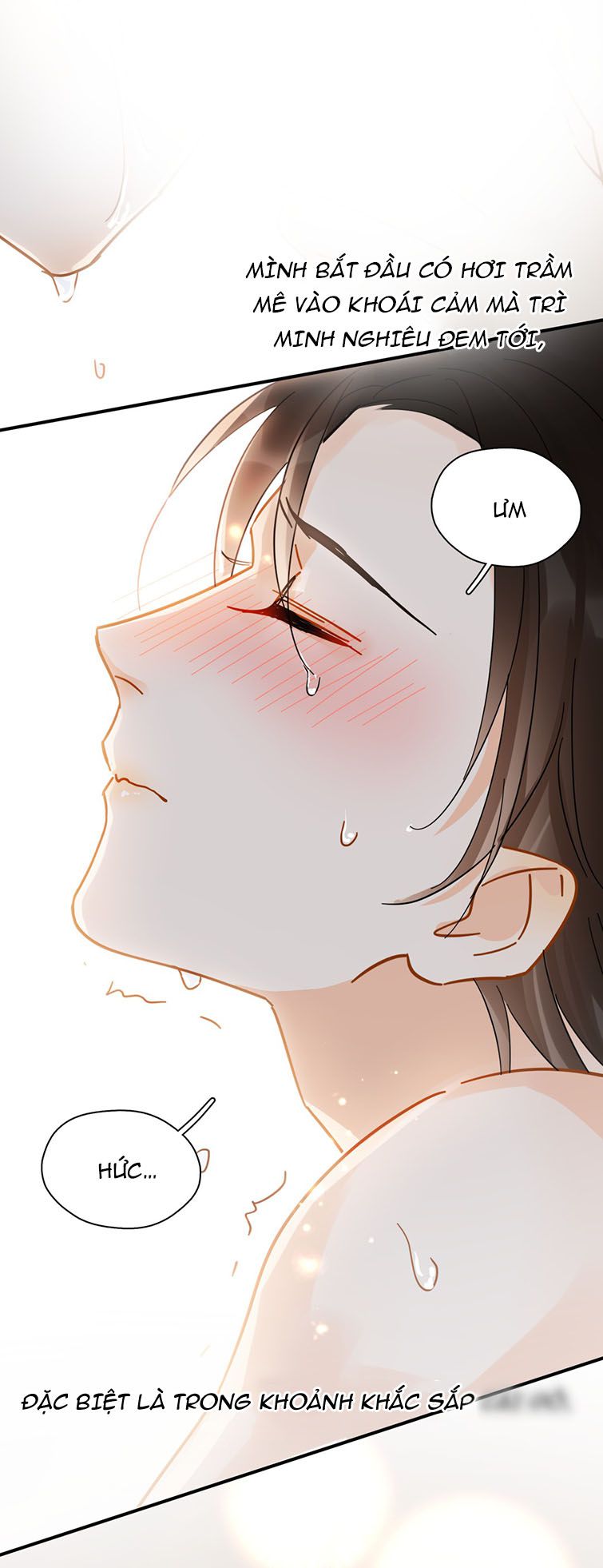 Theo Đuôi Chapter 33 - Trang 4