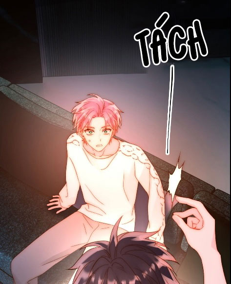 Tôi Phải Làm 1 Kẻ Đại Xấu Xa Phiên Ngoại Đặc Biệt - Trang 2