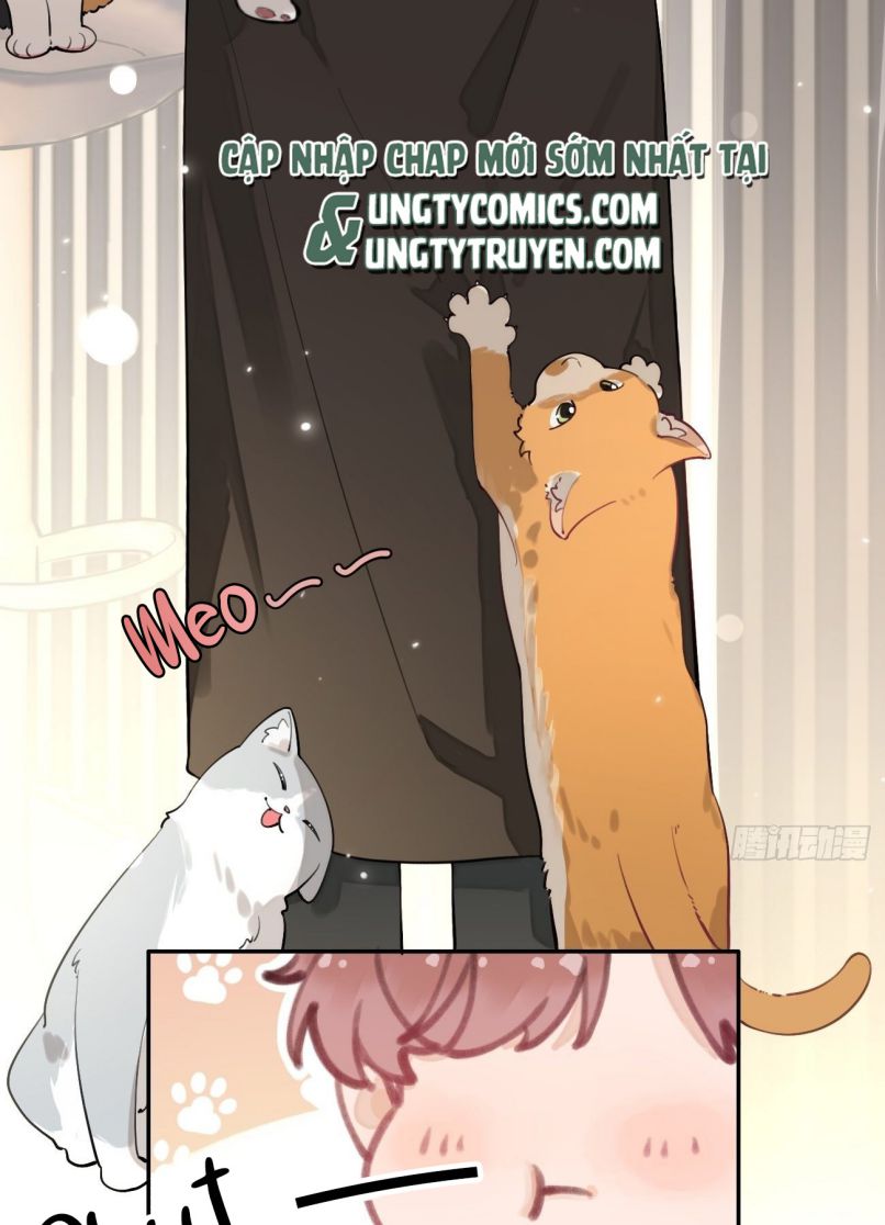 Chó Lớn Bắt Nạt Chủ Chapter 6 - Trang 3