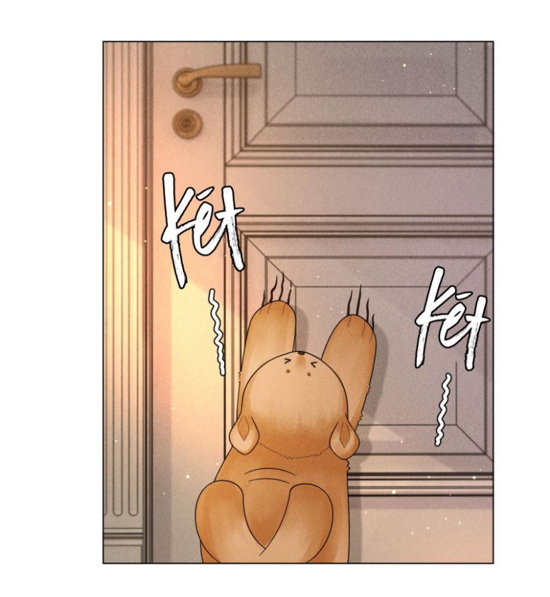 Dior Tiên Sinh Chap 52 - Trang 2