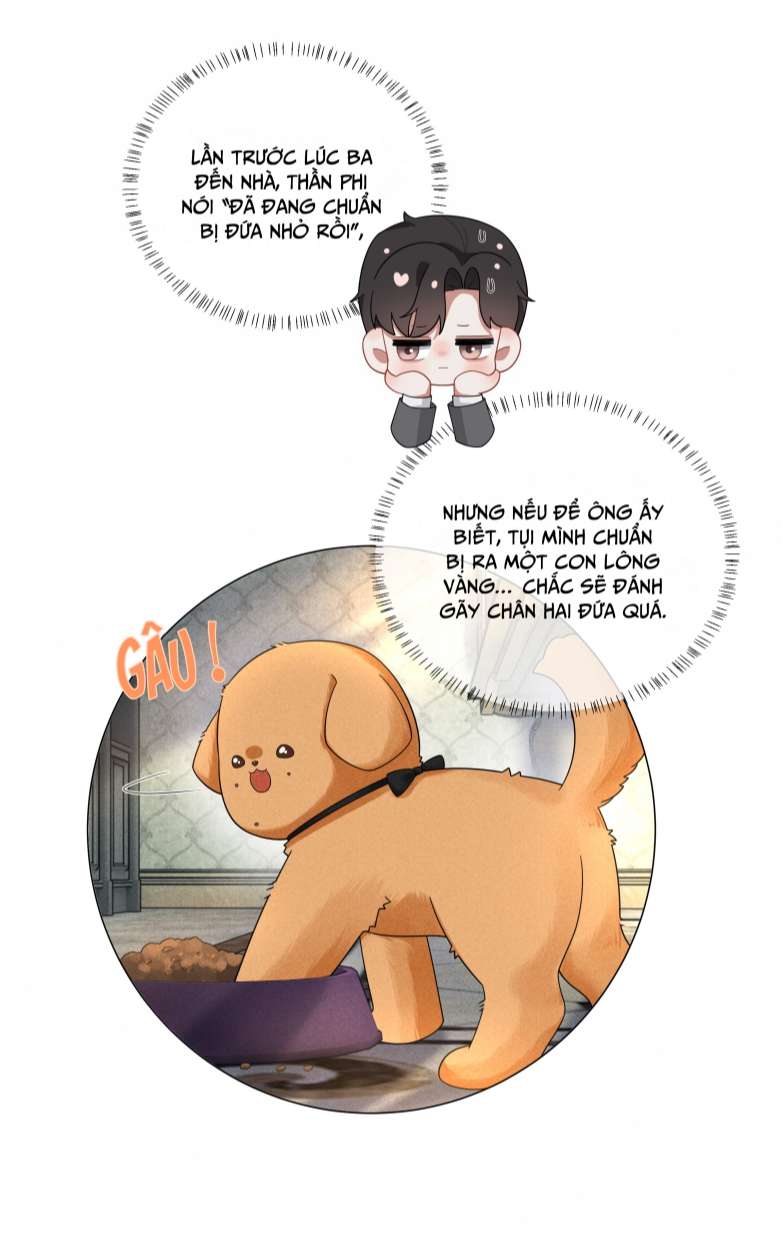 Dior Tiên Sinh Chap 61 - Trang 2