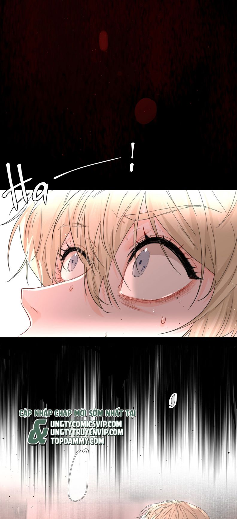 Tiền Nhiệm Vi Vương Chapter 17 - Trang 4