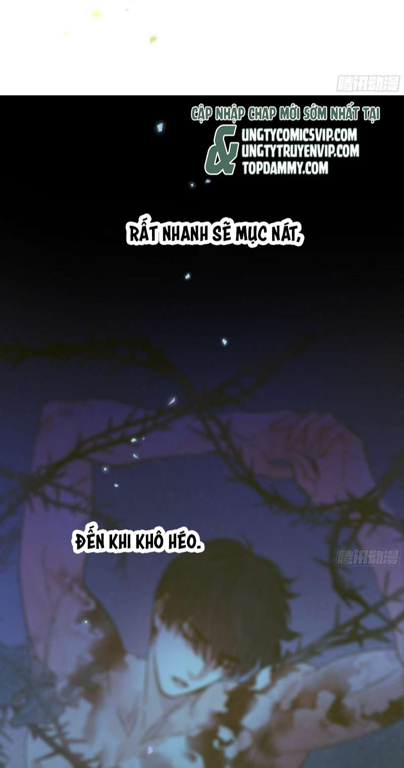 Khi Người Ngủ Say Chapter 28 - Trang 3