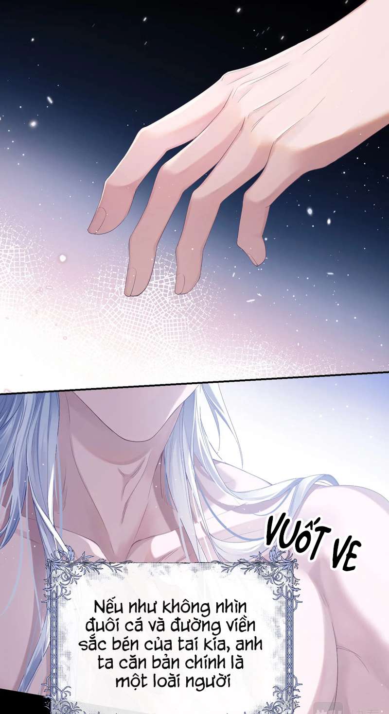 Desharow Nhân Ngư Chap 1 - Trang 2