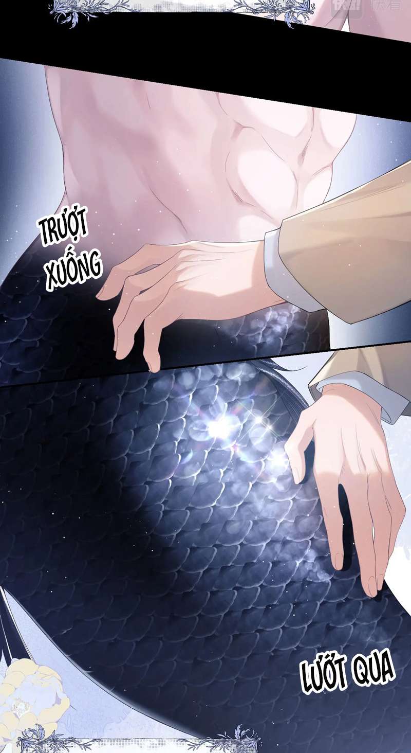 Desharow Nhân Ngư Chap 1 - Trang 2