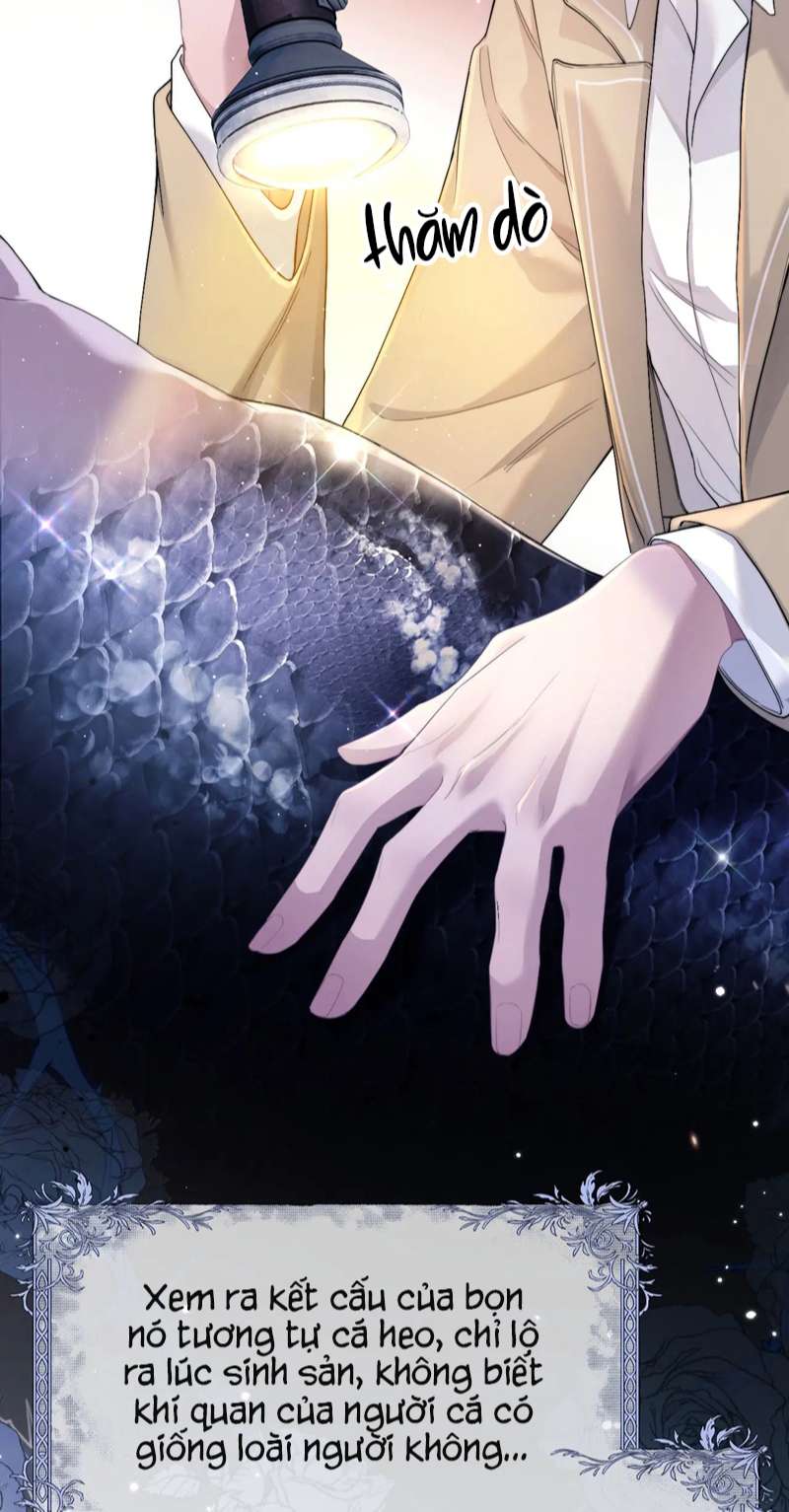 Desharow Nhân Ngư Chap 1 - Trang 2