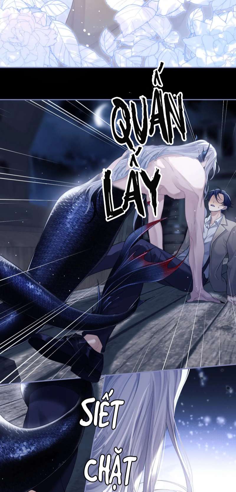 Desharow Nhân Ngư Chap 1 - Trang 2