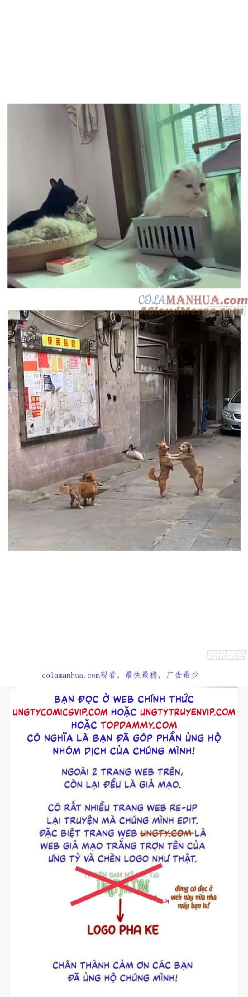 Khi Người Ngủ Say Chapter 32 - Trang 3