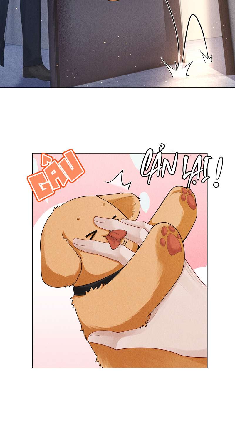 Dior Tiên Sinh Chap 75 - Trang 2