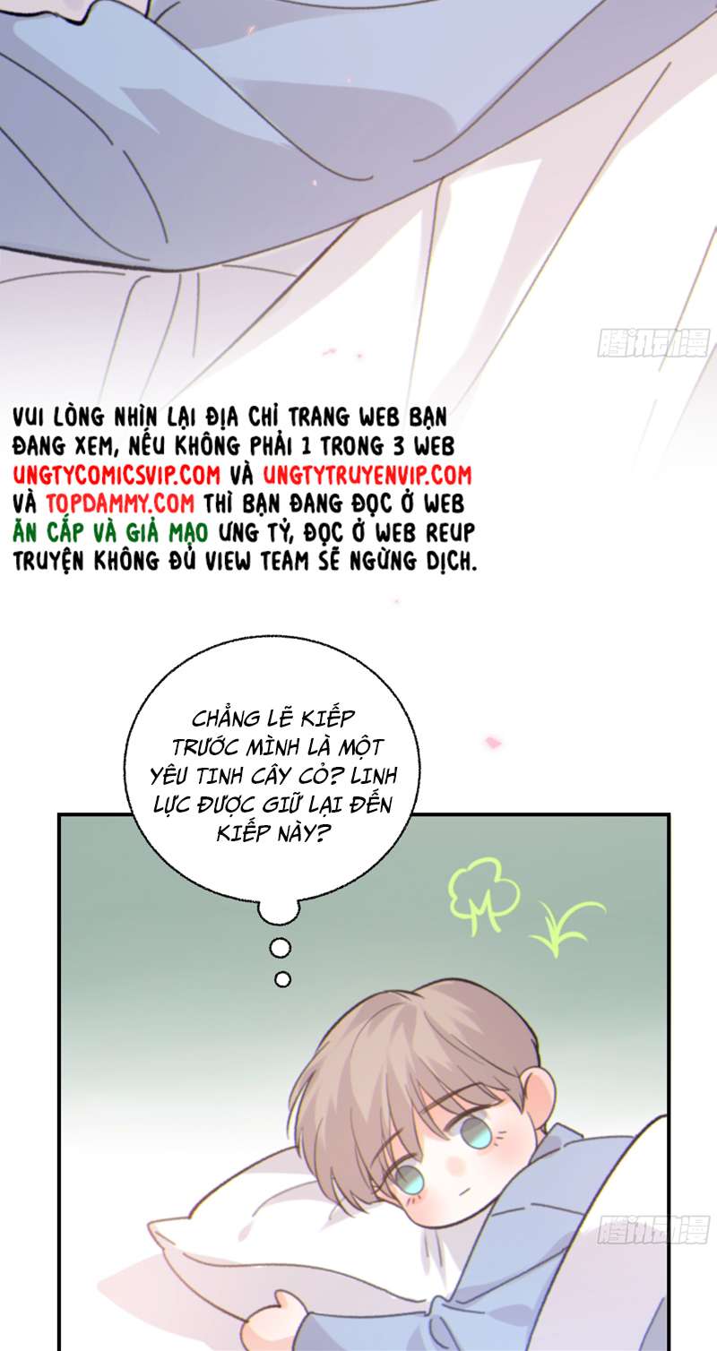 Khi Người Ngủ Say Chapter 34 - Trang 3