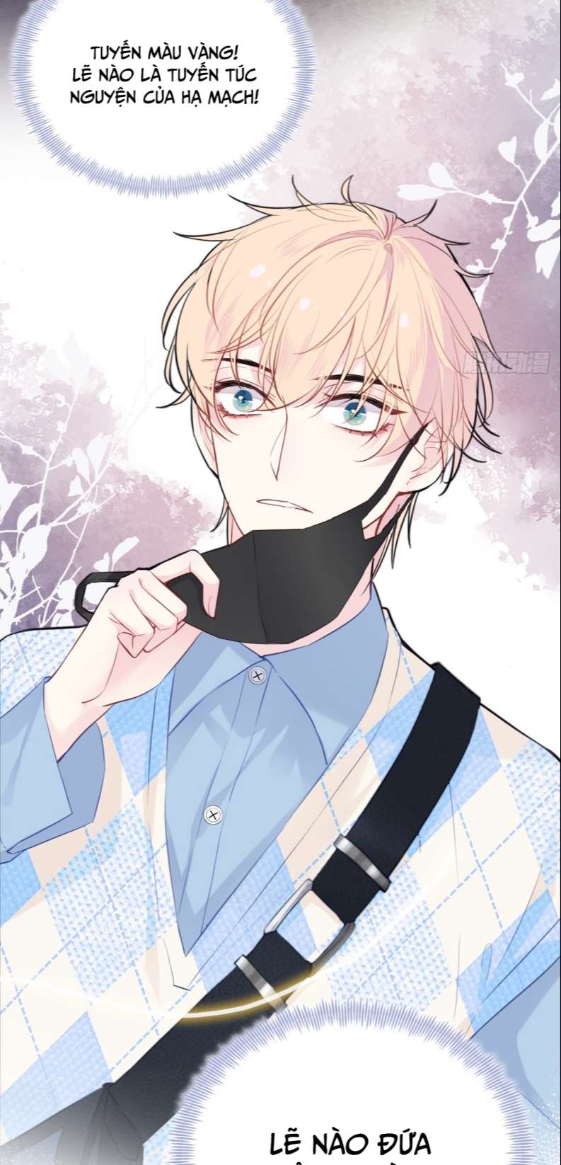 Anh Ấy Chưa Từng Rơi Xuống Chap 17 - Trang 4