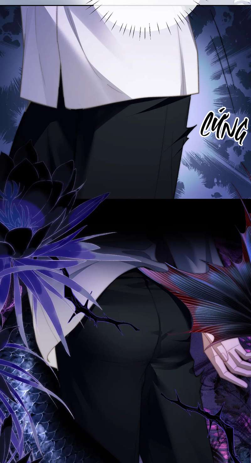 Desharow Nhân Ngư Chapter 11 - Next Chapter 12