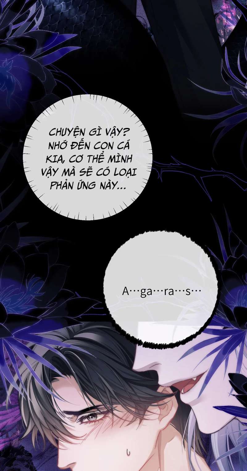 Desharow Nhân Ngư Chapter 11 - Next Chapter 12