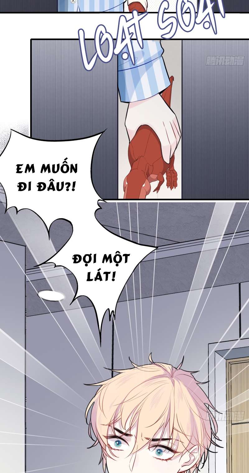 Anh Ấy Chưa Từng Rơi Xuống Chap 20 - Trang 4