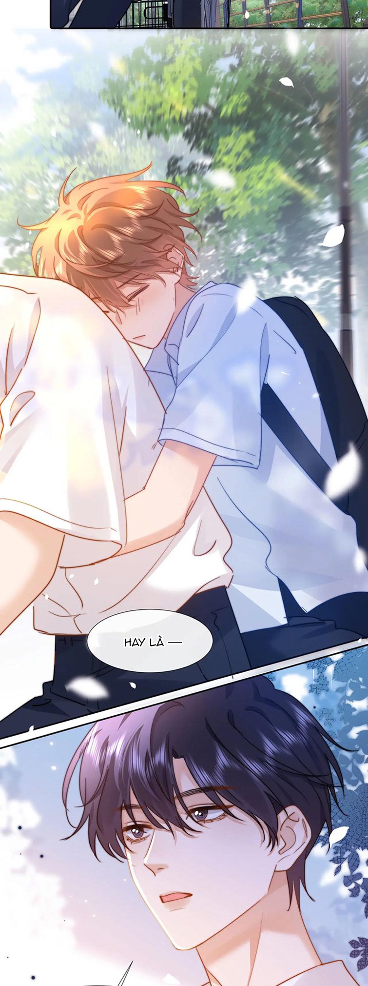 Chất Dị Ứng Đáng Yêu Chapter 7 - Next Chapter 8