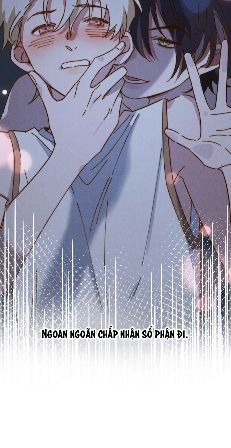 Tôi Không Cùng Anh Đến Vùng Đất Bắp Ngô Đâu! Chapter 8 - Next Chapter 9