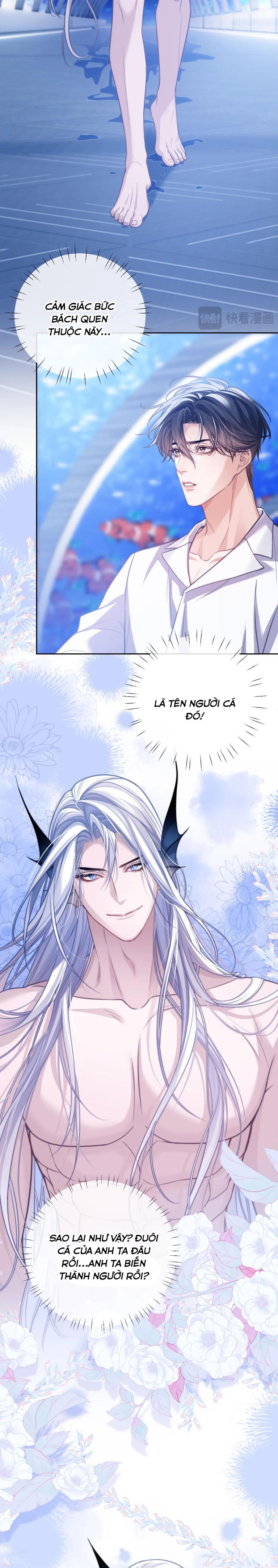 Desharow Nhân Ngư Chapter 18 - Trang 4