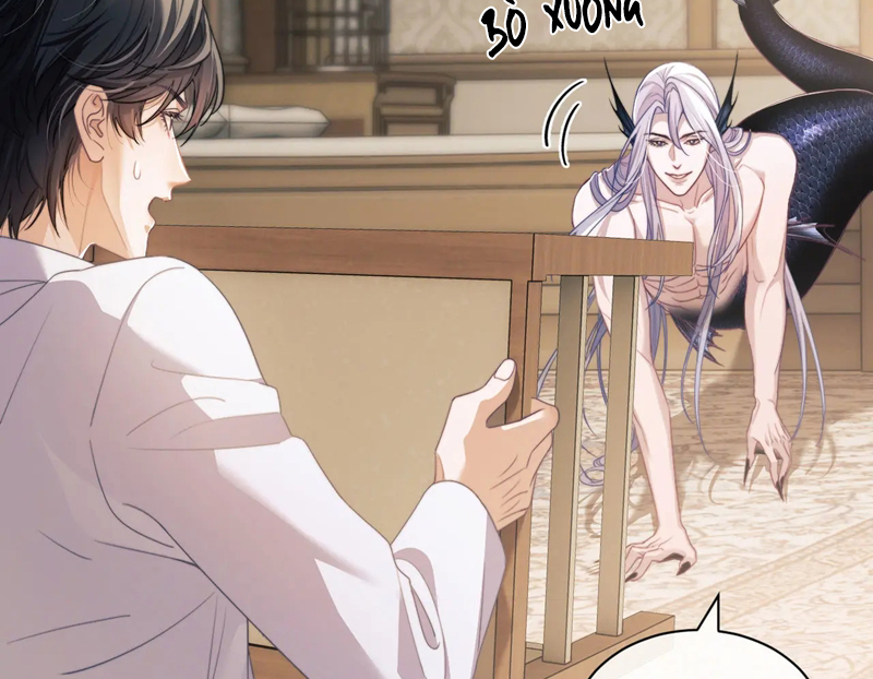 Desharow Nhân Ngư Chapter 22 - Trang 4