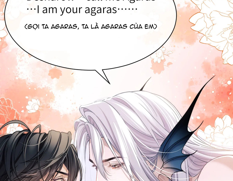 Desharow Nhân Ngư Chapter 22 - Trang 4