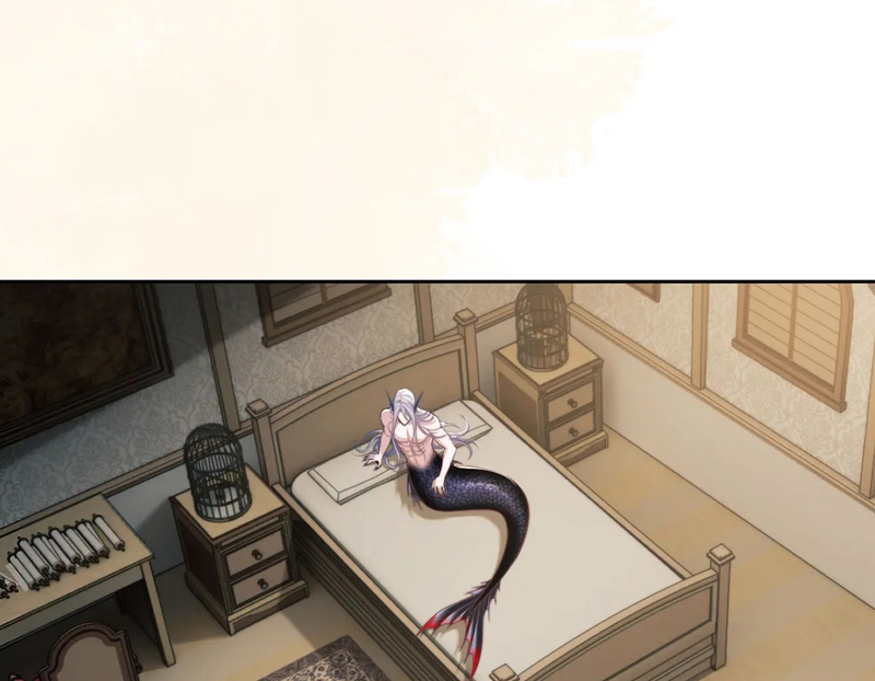 Desharow Nhân Ngư Chapter 22 - Trang 4