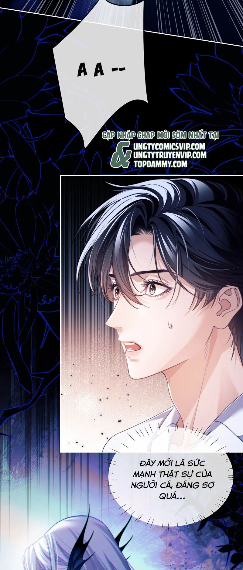 Desharow Nhân Ngư Chapter 24 - Trang 4