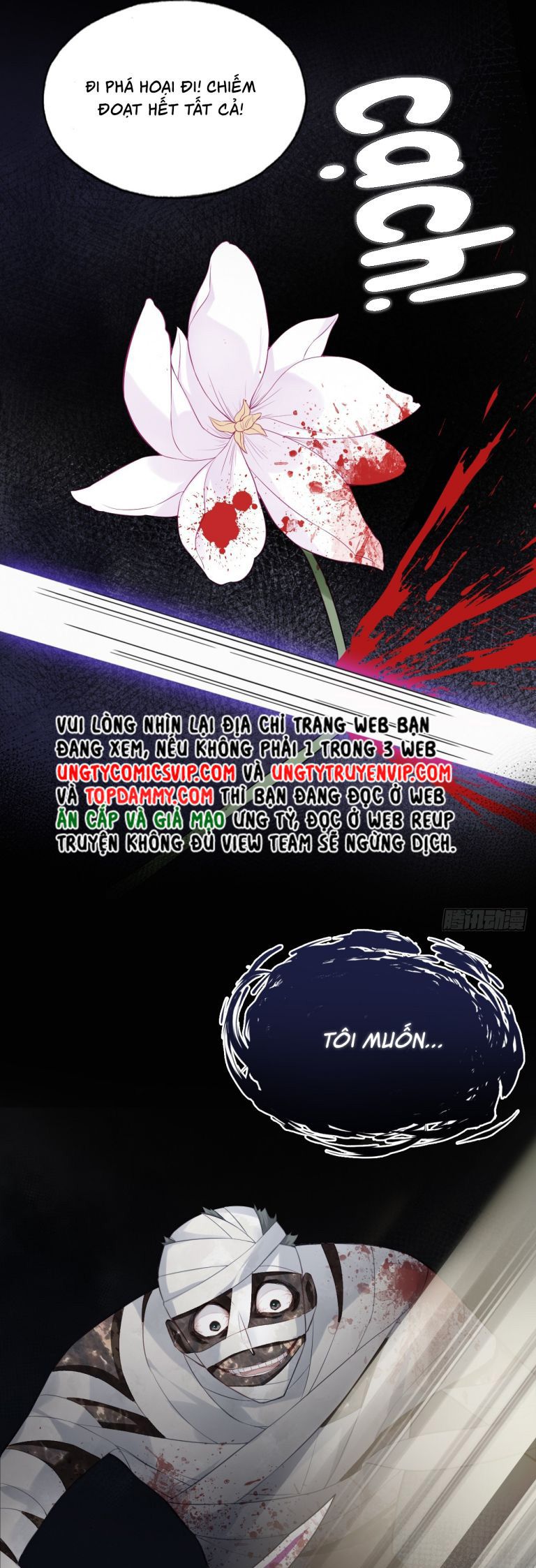 Anh Ấy Chưa Từng Rơi Xuống Chap 36 - Trang 2