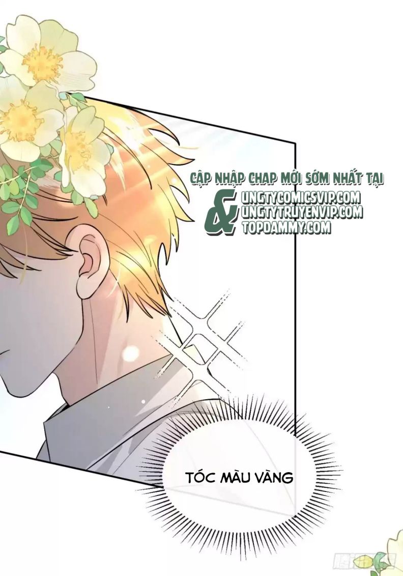 Chó Lớn Bắt Nạt Chủ Chapter 66 - Trang 3
