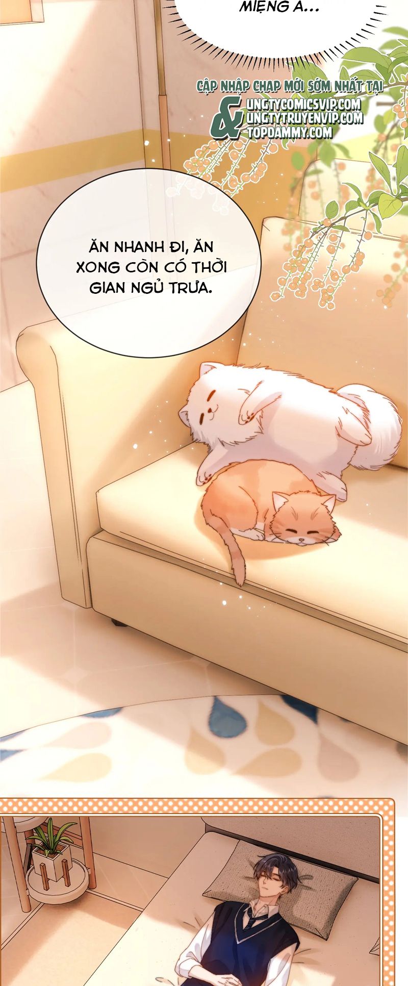 Chất Dị Ứng Đáng Yêu Chapter 38 - Next Chapter 39