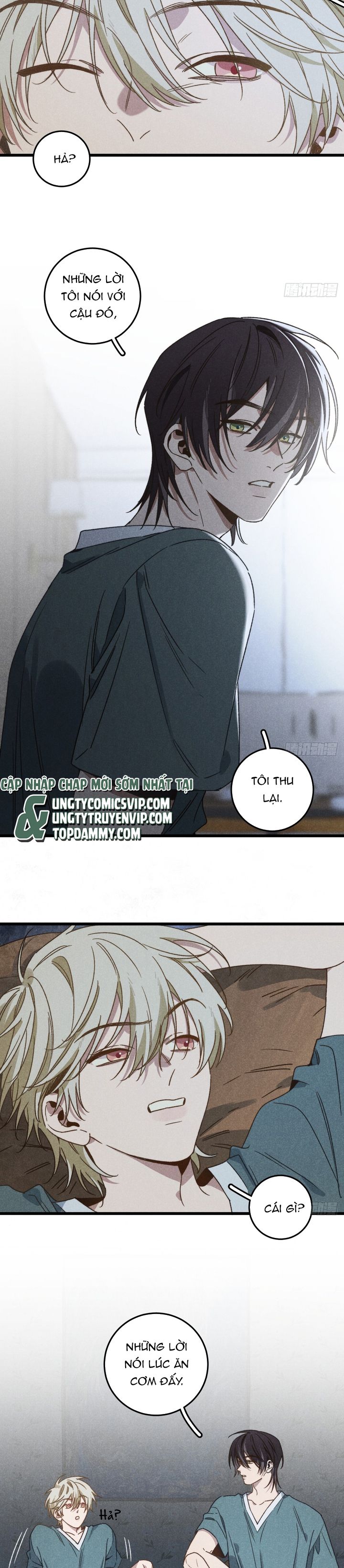 Tôi Không Cùng Anh Đến Vùng Đất Bắp Ngô Đâu! Chapter 41 - Next Chapter 42