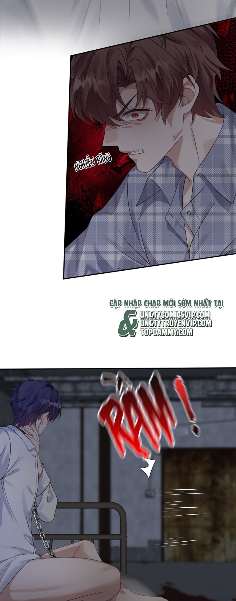 Gài Bẫy Ác Khuyển Chapter 42 - Trang 4