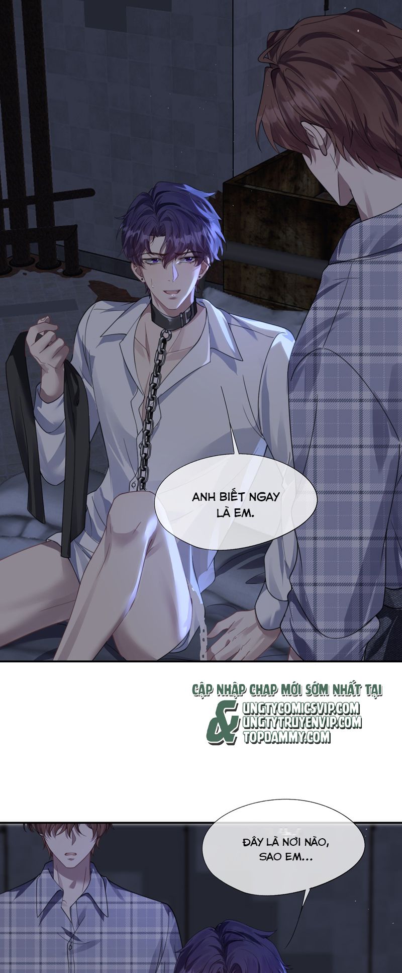 Gài Bẫy Ác Khuyển Chapter 42 - Trang 4