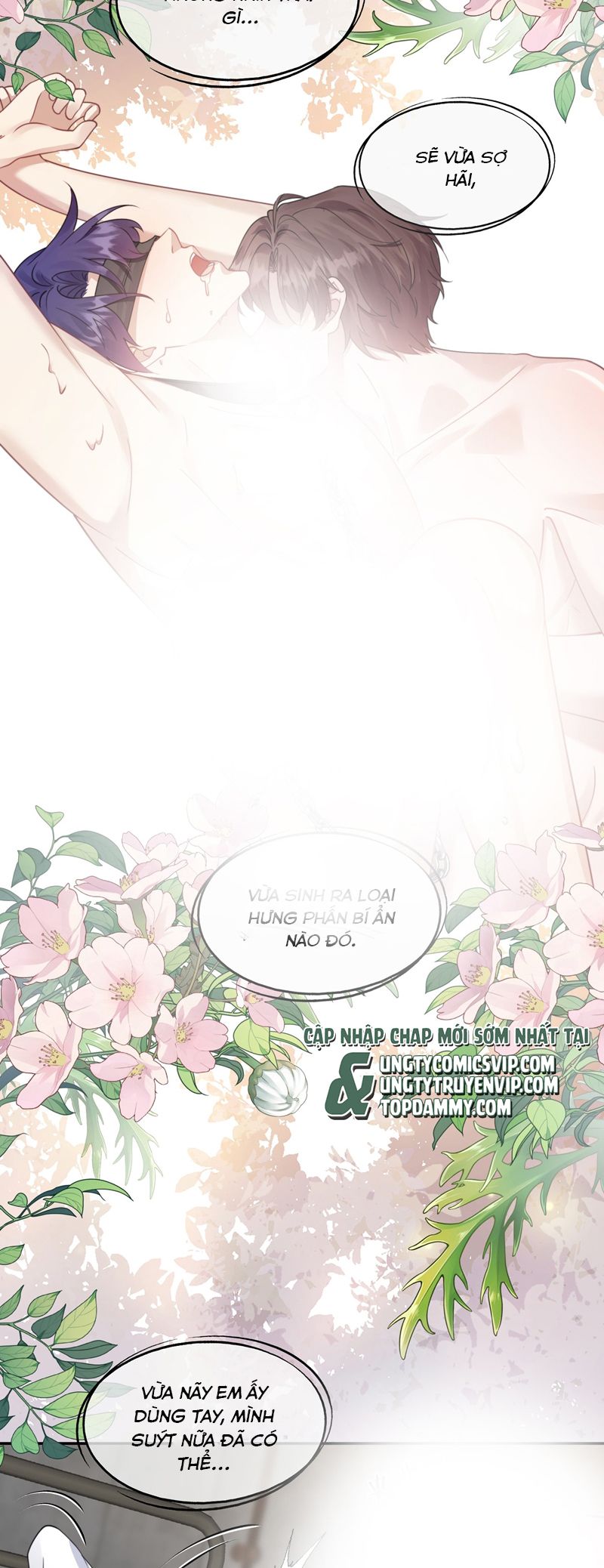 Gài Bẫy Ác Khuyển Chapter 43 - Trang 4