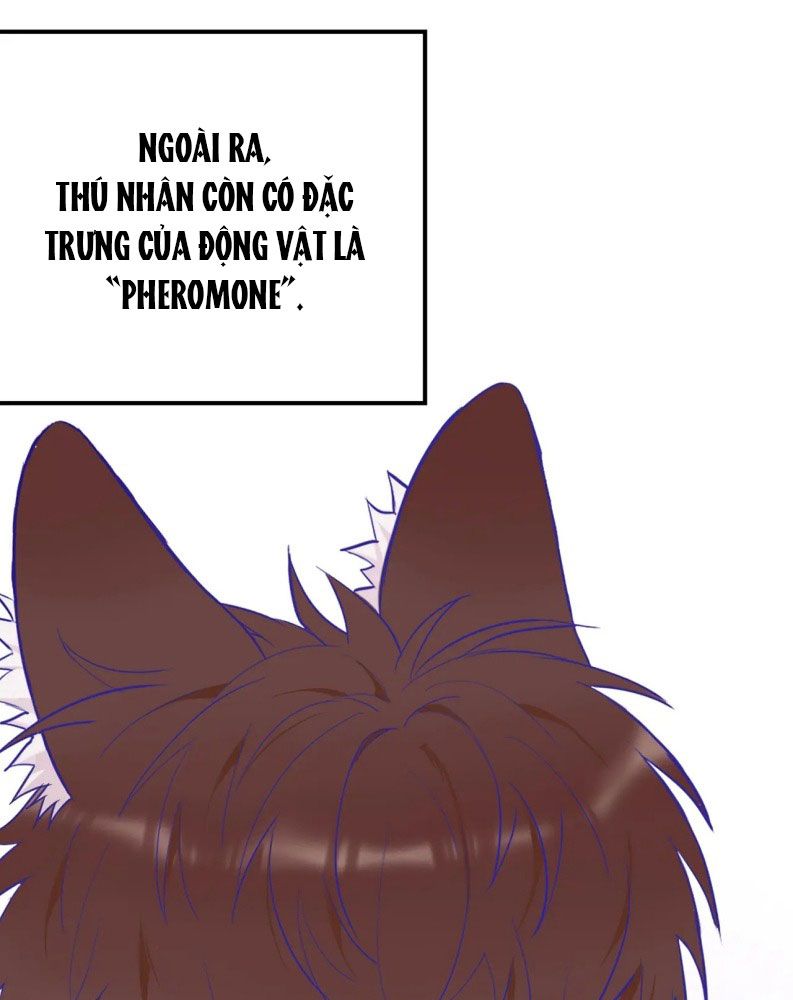 Cún Con Nói Dối Sẽ Bị Ăn Mất Chapter 1 - Next Chapter 2