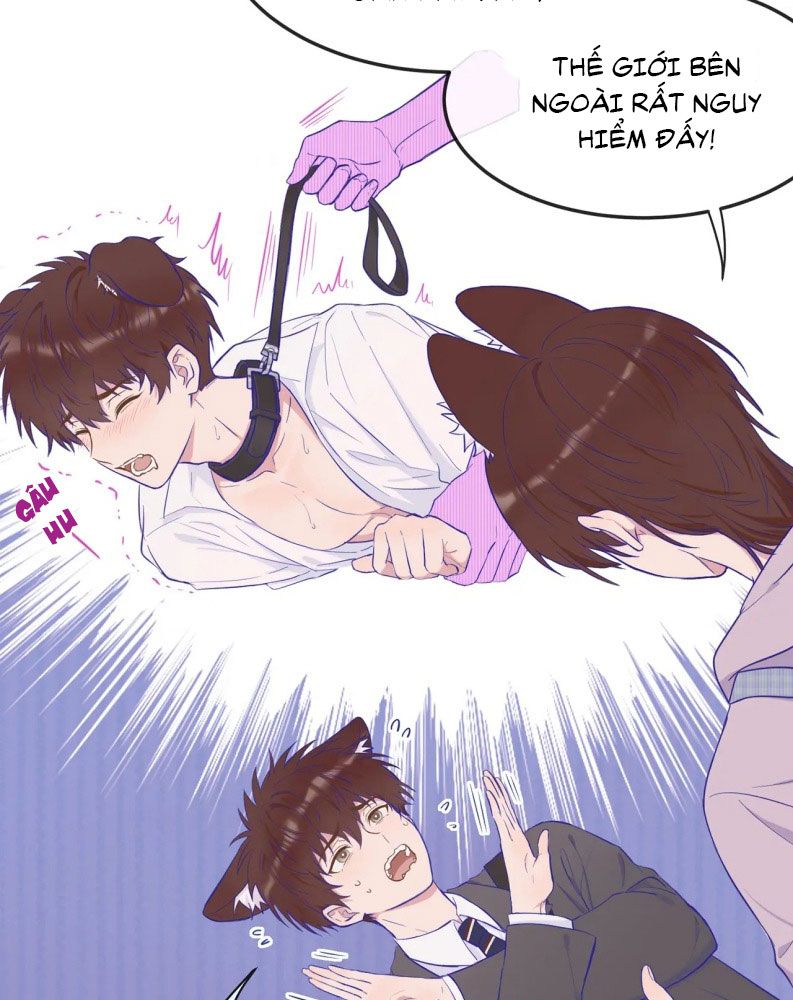 Cún Con Nói Dối Sẽ Bị Ăn Mất Chapter 1 - Next Chapter 2