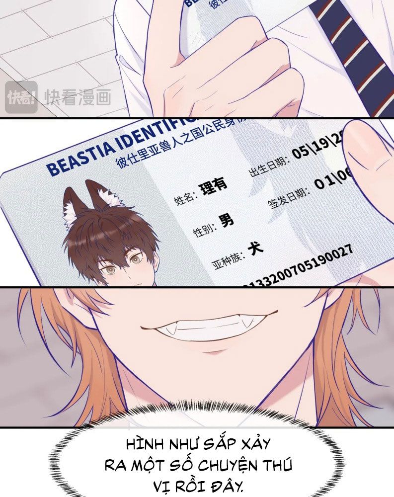 Cún Con Nói Dối Sẽ Bị Ăn Mất Chapter 1 - Next Chapter 2