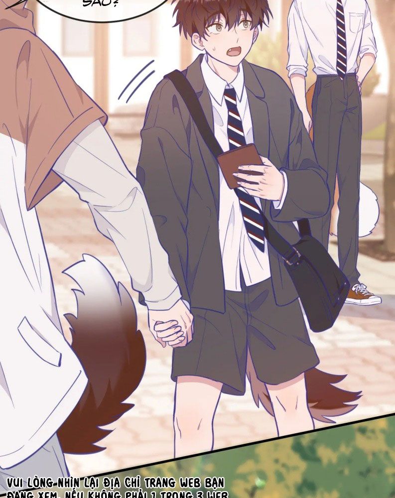 Cún Con Nói Dối Sẽ Bị Ăn Mất Chapter 2 - Next Chapter 3