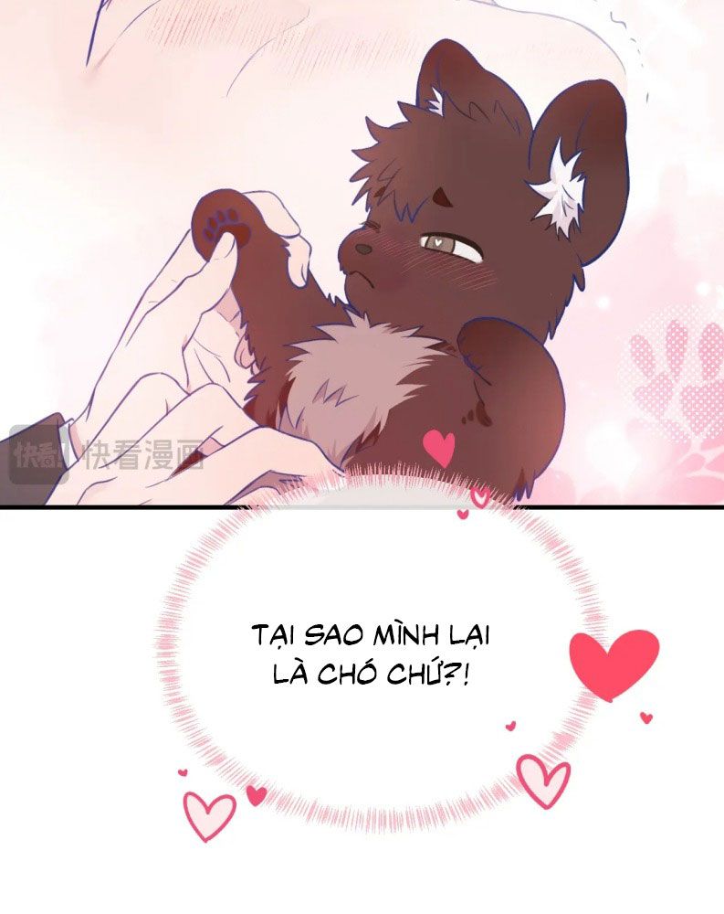 Cún Con Nói Dối Sẽ Bị Ăn Mất Chapter 6 - Next Chapter 7