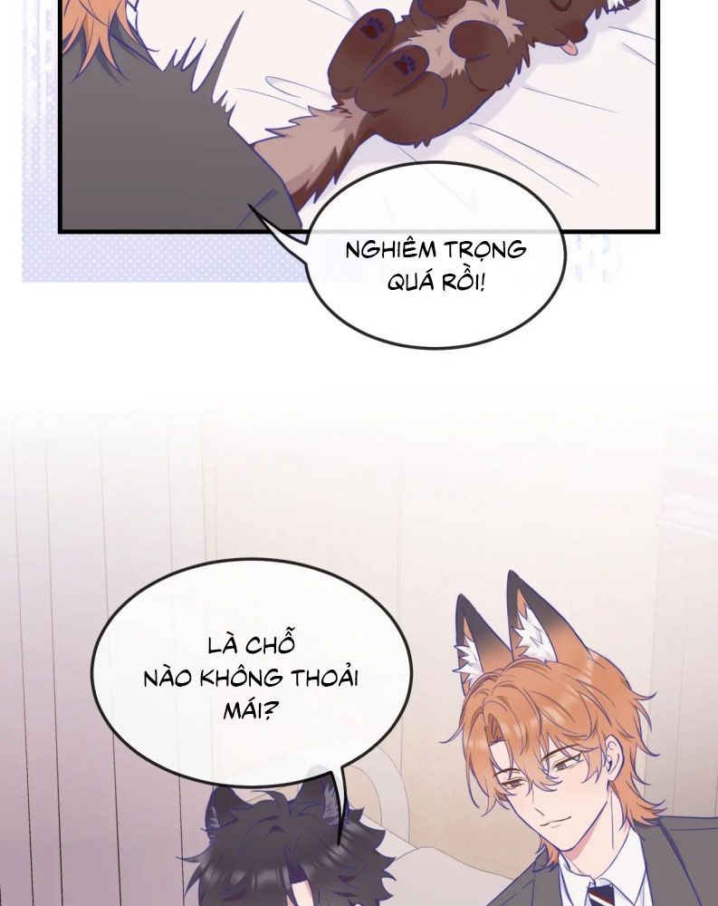 Cún Con Nói Dối Sẽ Bị Ăn Mất Chapter 6 - Next Chapter 7