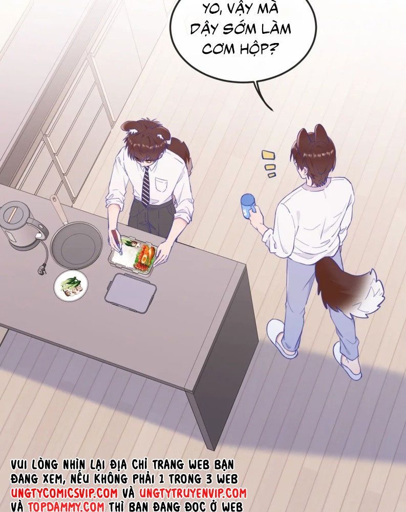 Cún Con Nói Dối Sẽ Bị Ăn Mất Chapter 10 - Next Chapter 11