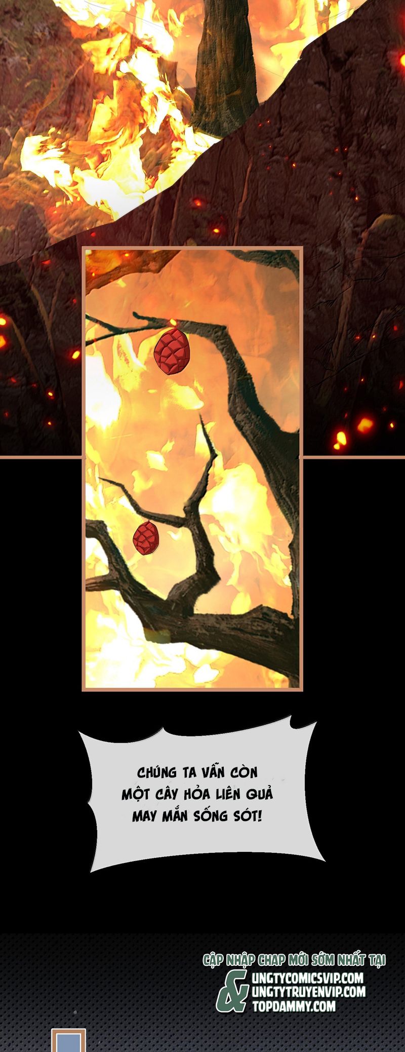 Ma Tôn Đại Nhân Song Tu Không Chapter 74 - Trang 4