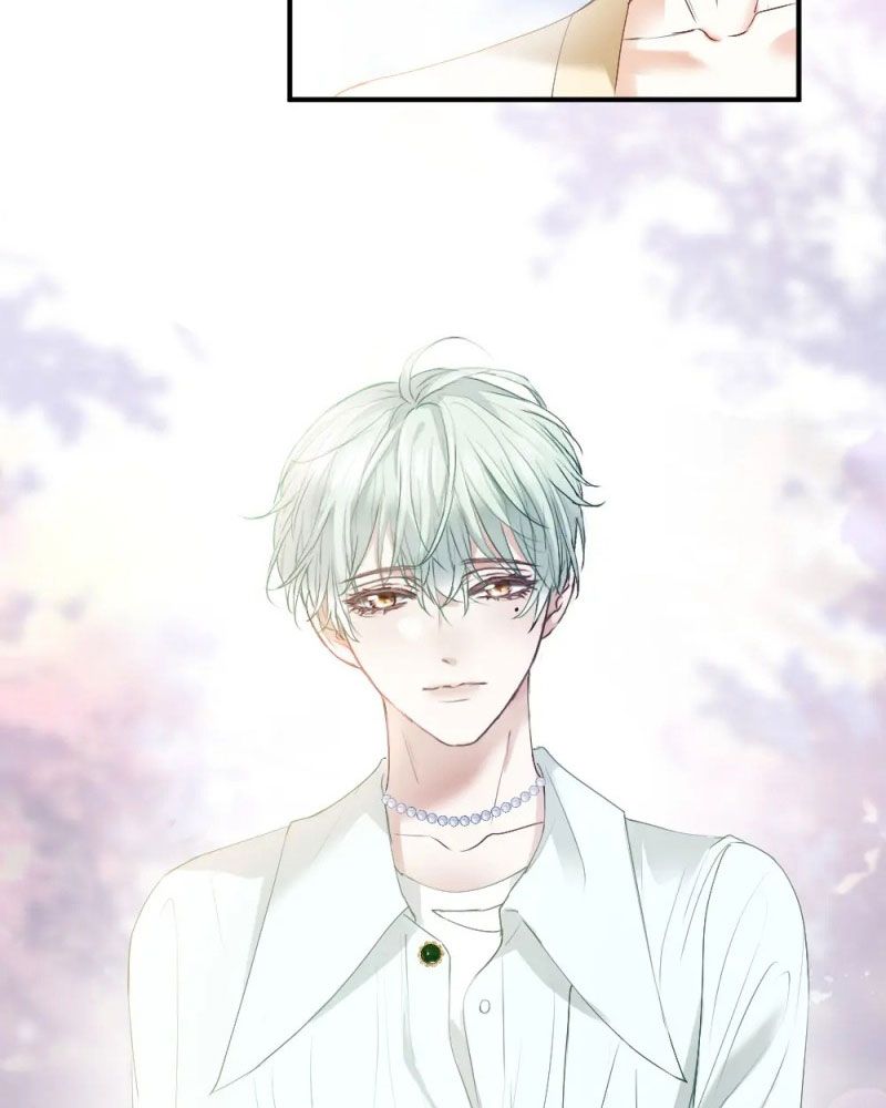 Tiểu Thiếu Gia Dựa Vào Mỹ Mạo Hoành Hành Toàn Hệ Thống Chapter 35 - Trang 4